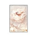 Picture of Peony Flowers _GroupedProduct_Rectangle_Portrait_Photography _GroupedProduct_Rectangle_Portrait_Canvas_Framed_