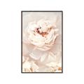 Picture of Peony Flowers _GroupedProduct_Rectangle_Portrait_Photography _GroupedProduct_Rectangle_Portrait_Canvas_Framed_