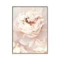 Picture of Peony Flowers _GroupedProduct_Rectangle_Portrait_Photography _GroupedProduct_Rectangle_Portrait_Canvas_Framed_