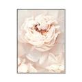 Picture of Peony Flowers _GroupedProduct_Rectangle_Portrait_Photography _GroupedProduct_Rectangle_Portrait_Canvas_Framed_