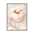 Picture of Peony Flowers _GroupedProduct_Rectangle_Portrait_Photography _GroupedProduct_Rectangle_Portrait_Canvas_Framed_