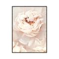 Picture of Peony Flowers _GroupedProduct_Rectangle_Portrait_Photography _GroupedProduct_Rectangle_Portrait_Canvas_Framed_