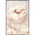Picture of Peony Flowers _GroupedProduct_Rectangle_Portrait_Photography _GroupedProduct_Rectangle_Portrait_Canvas_Framed_