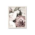 Picture of Pink Bloom _GroupedProduct_Rectangle_Portrait_Photography _GroupedProduct_Rectangle_Portrait_Framed_Matted_