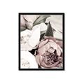 Picture of Pink Bloom _GroupedProduct_Rectangle_Portrait_Photography _GroupedProduct_Rectangle_Portrait_Framed_Matted_