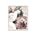Picture of Pink Bloom _GroupedProduct_Rectangle_Portrait_Photography _GroupedProduct_Rectangle_Portrait_Framed_Matted_