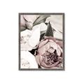 Picture of Pink Bloom _GroupedProduct_Rectangle_Portrait_Photography _GroupedProduct_Rectangle_Portrait_Framed_Matted_