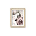 Picture of Pink Bloom _GroupedProduct_Rectangle_Portrait_Photography _GroupedProduct_Rectangle_Portrait_Framed_Matted_