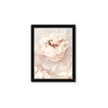 Picture of Peony Flowers _GroupedProduct_Rectangle_Portrait_Photography _GroupedProduct_Rectangle_Portrait_Framed_Matted_