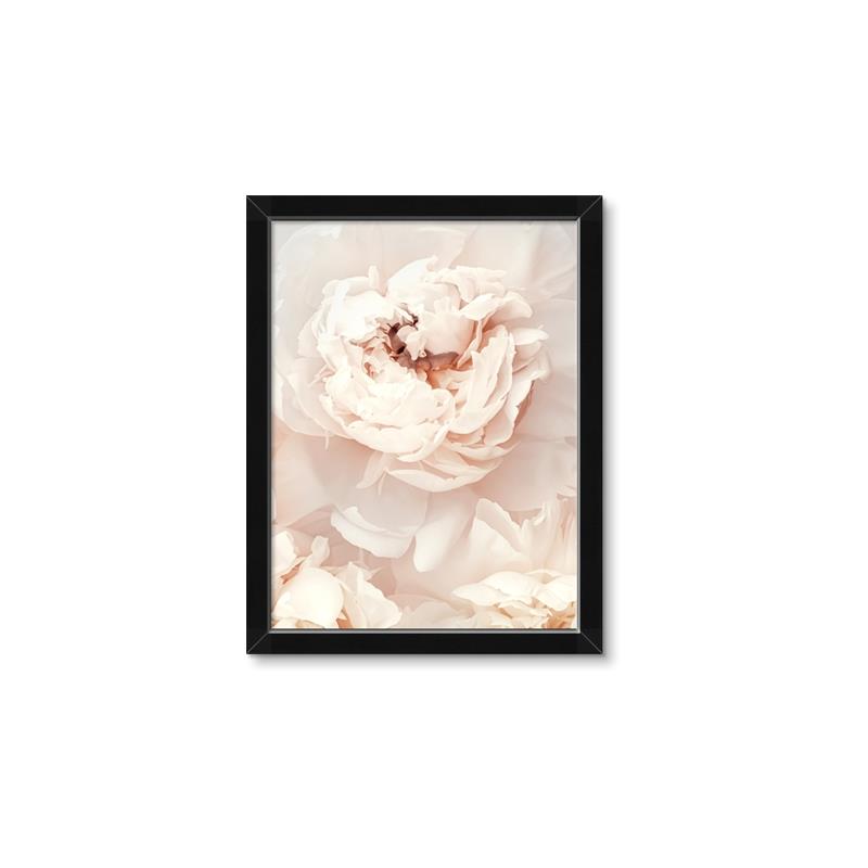 Picture of Peony Flowers _GroupedProduct_Rectangle_Portrait_Photography _GroupedProduct_Rectangle_Portrait_Framed_Matted_