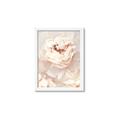 Picture of Peony Flowers _GroupedProduct_Rectangle_Portrait_Photography _GroupedProduct_Rectangle_Portrait_Framed_Matted_