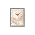 Picture of Peony Flowers _GroupedProduct_Rectangle_Portrait_Photography _GroupedProduct_Rectangle_Portrait_Framed_Matted_
