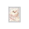Picture of Peony Flowers _GroupedProduct_Rectangle_Portrait_Photography _GroupedProduct_Rectangle_Portrait_Framed_Matted_