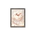 Picture of Peony Flowers _GroupedProduct_Rectangle_Portrait_Photography _GroupedProduct_Rectangle_Portrait_Framed_Matted_
