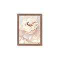 Picture of Peony Flowers _GroupedProduct_Rectangle_Portrait_Photography _GroupedProduct_Rectangle_Portrait_Framed_Matted_