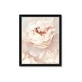 Picture of Peony Flowers _GroupedProduct_Rectangle_Portrait_Photography _GroupedProduct_Rectangle_Portrait_Framed_Matted_