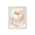 Picture of Peony Flowers _GroupedProduct_Rectangle_Portrait_Photography _GroupedProduct_Rectangle_Portrait_Framed_Matted_