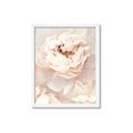 Picture of Peony Flowers _GroupedProduct_Rectangle_Portrait_Photography _GroupedProduct_Rectangle_Portrait_Framed_Matted_