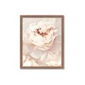 Picture of Peony Flowers _GroupedProduct_Rectangle_Portrait_Photography _GroupedProduct_Rectangle_Portrait_Framed_Matted_