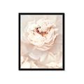 Picture of Peony Flowers _GroupedProduct_Rectangle_Portrait_Photography _GroupedProduct_Rectangle_Portrait_Framed_Matted_