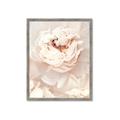 Picture of Peony Flowers _GroupedProduct_Rectangle_Portrait_Photography _GroupedProduct_Rectangle_Portrait_Framed_Matted_