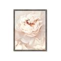 Picture of Peony Flowers _GroupedProduct_Rectangle_Portrait_Photography _GroupedProduct_Rectangle_Portrait_Framed_Matted_