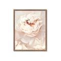 Picture of Peony Flowers _GroupedProduct_Rectangle_Portrait_Photography _GroupedProduct_Rectangle_Portrait_Framed_Matted_