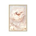 Picture of Peony Flowers _GroupedProduct_Rectangle_Portrait_Photography _GroupedProduct_Rectangle_Portrait_Framed_Matted_