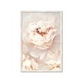 Picture of Peony Flowers _GroupedProduct_Rectangle_Portrait_Photography _GroupedProduct_Rectangle_Portrait_Framed_Matted_