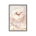 Picture of Peony Flowers _GroupedProduct_Rectangle_Portrait_Photography _GroupedProduct_Rectangle_Portrait_Framed_Matted_