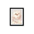 Picture of Peony Flowers _GroupedProduct_Rectangle_Portrait_Photography _GroupedProduct_Rectangle_Portrait_Framed_Matted_