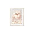 Picture of Peony Flowers _GroupedProduct_Rectangle_Portrait_Photography _GroupedProduct_Rectangle_Portrait_Framed_Matted_