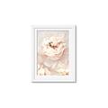 Picture of Peony Flowers _GroupedProduct_Rectangle_Portrait_Photography _GroupedProduct_Rectangle_Portrait_Framed_Matted_