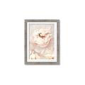Picture of Peony Flowers _GroupedProduct_Rectangle_Portrait_Photography _GroupedProduct_Rectangle_Portrait_Framed_Matted_