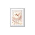 Picture of Peony Flowers _GroupedProduct_Rectangle_Portrait_Photography _GroupedProduct_Rectangle_Portrait_Framed_Matted_