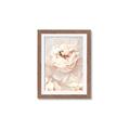 Picture of Peony Flowers _GroupedProduct_Rectangle_Portrait_Photography _GroupedProduct_Rectangle_Portrait_Framed_Matted_