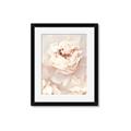 Picture of Peony Flowers _GroupedProduct_Rectangle_Portrait_Photography _GroupedProduct_Rectangle_Portrait_Framed_Matted_