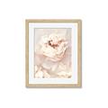 Picture of Peony Flowers _GroupedProduct_Rectangle_Portrait_Photography _GroupedProduct_Rectangle_Portrait_Framed_Matted_