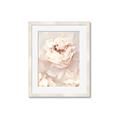 Picture of Peony Flowers _GroupedProduct_Rectangle_Portrait_Photography _GroupedProduct_Rectangle_Portrait_Framed_Matted_