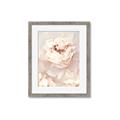 Picture of Peony Flowers _GroupedProduct_Rectangle_Portrait_Photography _GroupedProduct_Rectangle_Portrait_Framed_Matted_