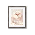 Picture of Peony Flowers _GroupedProduct_Rectangle_Portrait_Photography _GroupedProduct_Rectangle_Portrait_Framed_Matted_