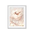 Picture of Peony Flowers _GroupedProduct_Rectangle_Portrait_Photography _GroupedProduct_Rectangle_Portrait_Framed_Matted_