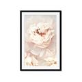 Picture of Peony Flowers _GroupedProduct_Rectangle_Portrait_Photography _GroupedProduct_Rectangle_Portrait_Framed_Matted_
