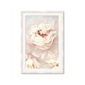 Picture of Peony Flowers _GroupedProduct_Rectangle_Portrait_Photography _GroupedProduct_Rectangle_Portrait_Framed_Matted_