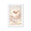 Picture of Peony Flowers _GroupedProduct_Rectangle_Portrait_Photography _GroupedProduct_Rectangle_Portrait_Framed_Matted_