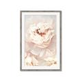 Picture of Peony Flowers _GroupedProduct_Rectangle_Portrait_Photography _GroupedProduct_Rectangle_Portrait_Framed_Matted_