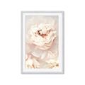 Picture of Peony Flowers _GroupedProduct_Rectangle_Portrait_Photography _GroupedProduct_Rectangle_Portrait_Framed_Matted_