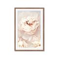 Picture of Peony Flowers _GroupedProduct_Rectangle_Portrait_Photography _GroupedProduct_Rectangle_Portrait_Framed_Matted_