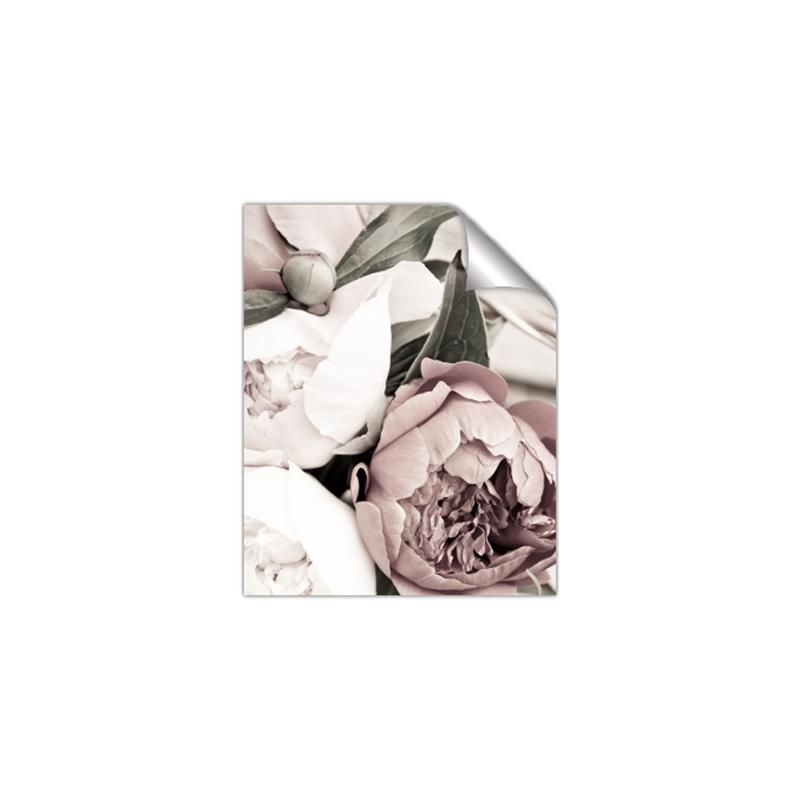 Picture of Pink Bloom _GroupedProduct_Rectangle_Portrait_Photography _GroupedProduct_Rectangle_Portrait_Unframed_Print_Only_