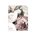 Picture of Pink Bloom _GroupedProduct_Rectangle_Portrait_Photography _GroupedProduct_Rectangle_Portrait_Unframed_Print_Only_